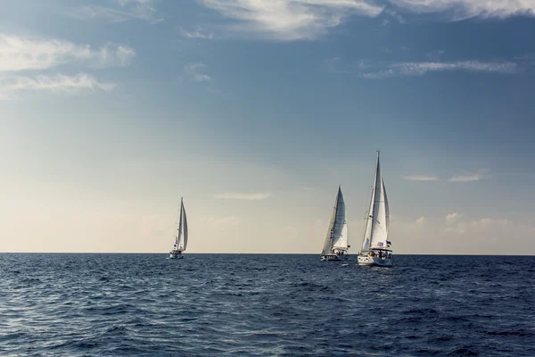 Sailing ship yachts with white sails — Stock Photo, Image