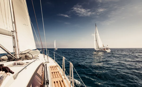 Zeilboot jachten met witte zeilen — Stockfoto