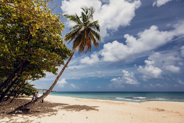 Spiaggia e oceano — Foto Stock