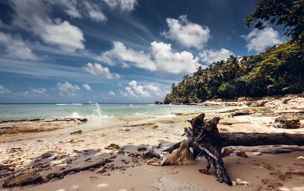 Strand und Meer — Stockfoto