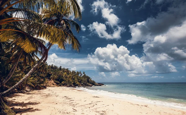 Strand und Meer — Stockfoto