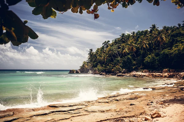 Spiaggia e oceano — Foto Stock