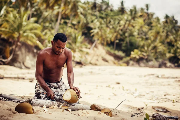 Man cutting the fruit of coconut palms — Stock Photo, Image
