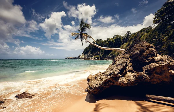Beach and ocean — Stock Photo, Image