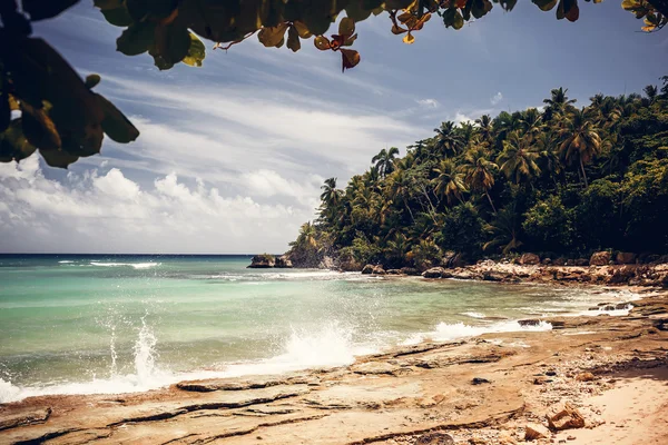 Praia e oceano, República Dominicana — Fotografia de Stock