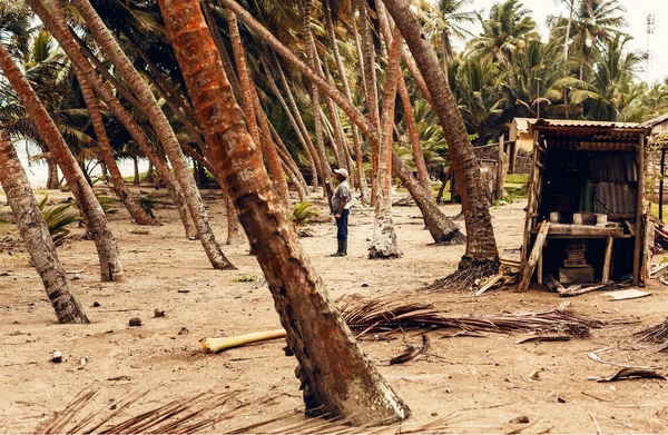 Tropical beach at Dominican Republic — Stock Photo, Image