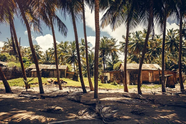 Stranden och havet, Dominikanska Republiken — Stockfoto