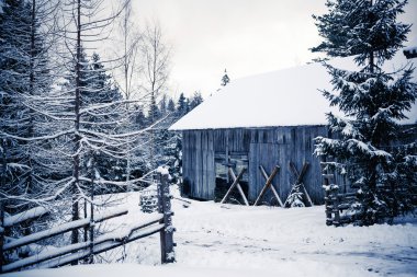 Kışın ormandaki ahşap ev