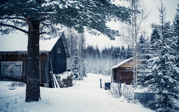 Aldeia na floresta de inverno na Finlândia Central — Fotografia de Stock