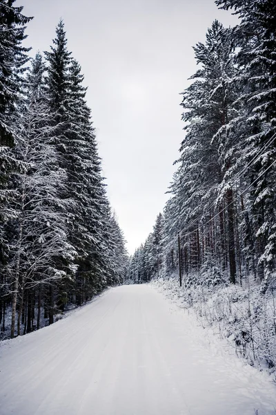 Сніжний пейзаж у Центральна Фінляндія — стокове фото