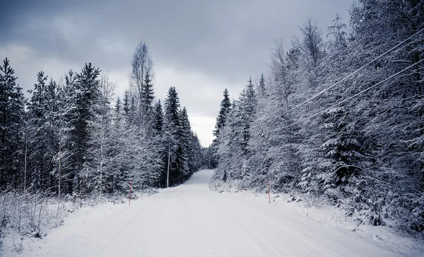 Снежный пейзаж в Центральной Финляндии — стоковое фото
