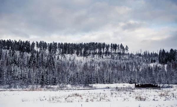 Zasněžená krajina v regionu střední Finsko — Stock fotografie