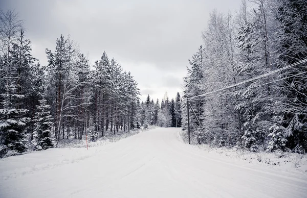 Snöiga landskap i mellersta finland — Stockfoto