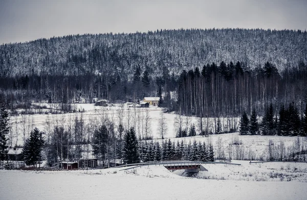 Casa de campo de madera en el bosque de invierno en Finlandia Central —  Fotos de Stock