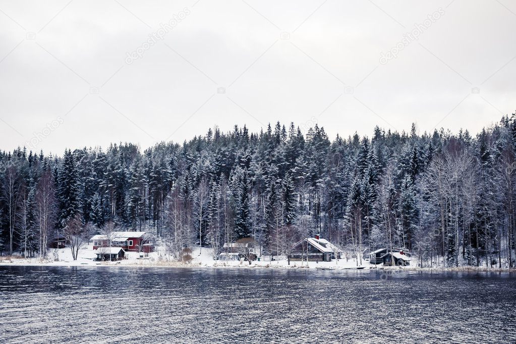 Small village in winter forest