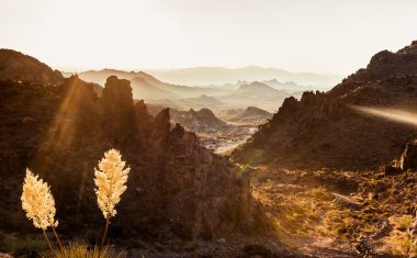 Mojave Çölü peyzaj