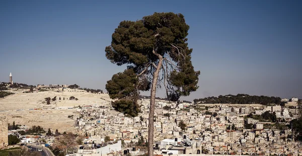 Yerusalem — Stok Foto