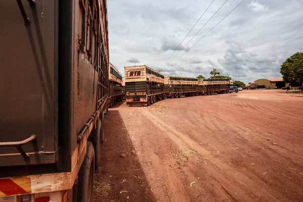 Trenes de carretera de Australia —  Fotos de Stock