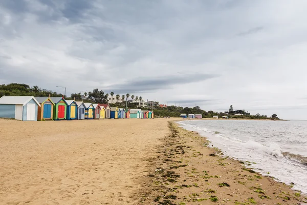 Brighton baai beachhouses — Stockfoto