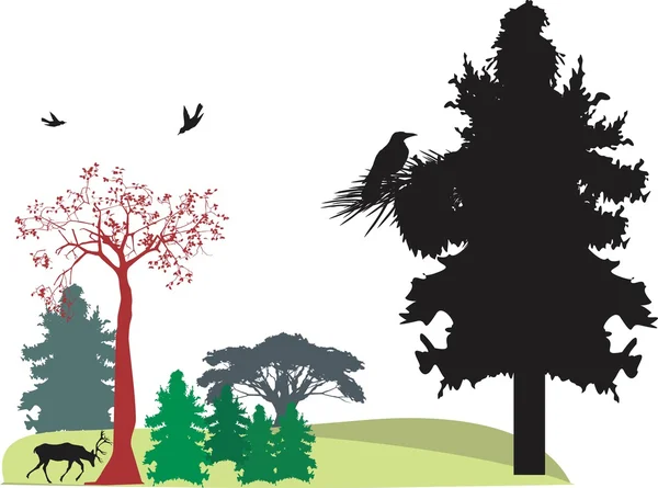 doğal manzara orman