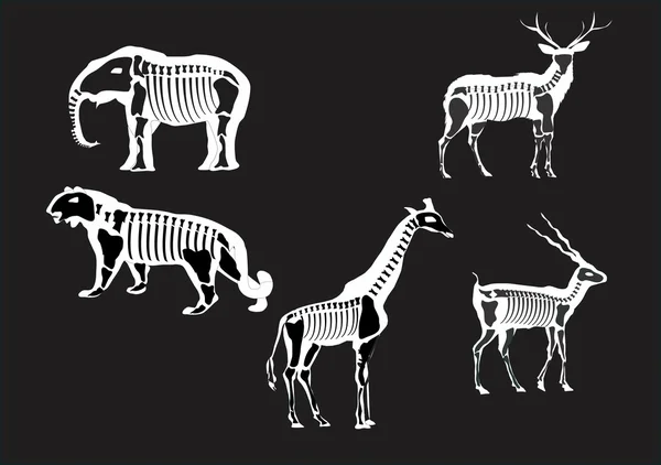 Vector conjunto de animales — Archivo Imágenes Vectoriales