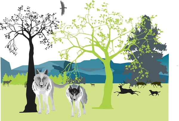 Loups dans la nature — Image vectorielle