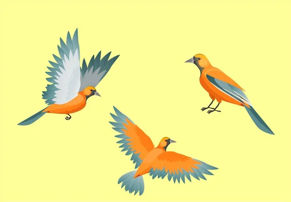 Set Birds Various Poses Vector Isolated White — Stock Vector