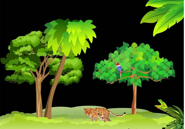 Arbres Plantes Nuit Jungle Paysage Vecteur — Image vectorielle