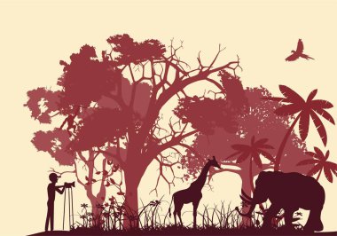 Kameraman Afrika 'daki vahşi yaşam sahnesini çekiyor, vektör siluetleri.