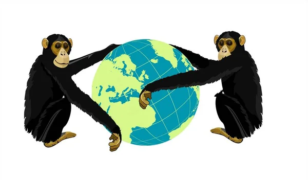 Šimpanzové Opice Držící Glóbus Koncept Vektor — Stockový vektor