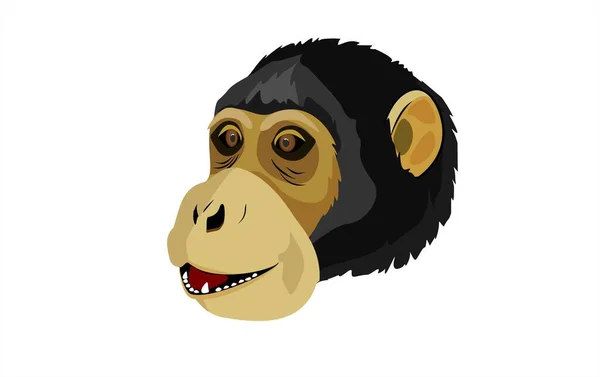 Cabeça Chimpanzé Isolada Vetor Branco —  Vetores de Stock