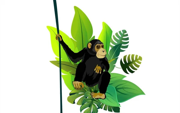 Šimpanz Sedí Zarámovaný Listím Koncept Obrazu Demonstrující Volně Žijící Zvěř — Stockový vektor