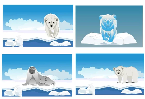 Polar Bears Walrust Ice Surface Set Vector — стоковый вектор