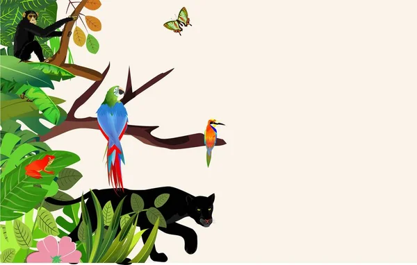 Векторные Джунгли Тропических Лесов Листвы Границы Иллюстрации Пантерой Голубой Попугай — стоковый вектор