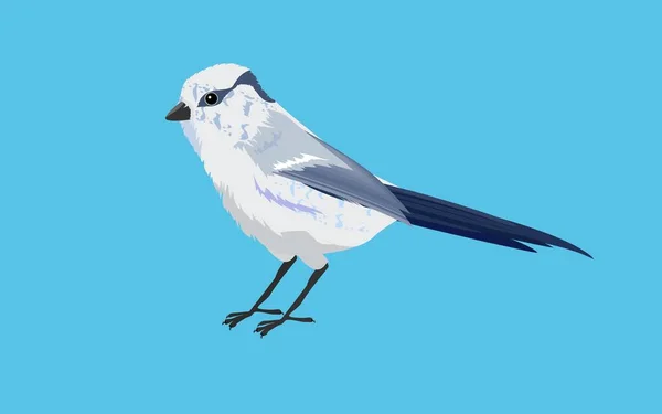 Uccello Bianco Isolato Vettore Blu — Vettoriale Stock