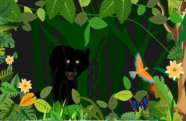 ジャングルの中のパンサーと熱帯の鳥や動物 黒いベクトル植物の背景 — ストックベクタ