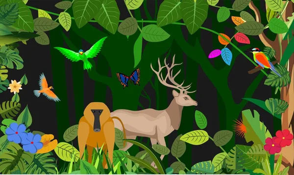 Selva Animais Plantas Modelo Veados Babuíno Aves Ilustração Vetorial —  Vetores de Stock