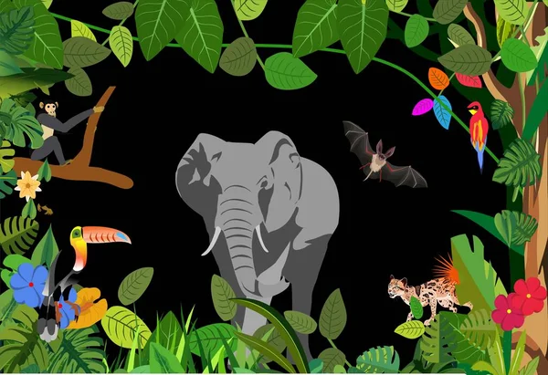 夜のジャングルの中の灰色の象熱帯植物や動物のフレーム黒い背景ベクトル — ストックベクタ