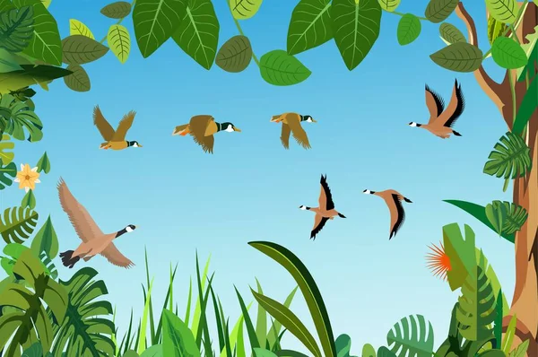 Migratore Ptaki Latające Niebie Wśród Drzew Roślin Tropikalnych Wektor Szablonu — Wektor stockowy
