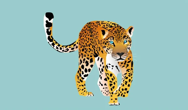 Leopard Walking Forward Vector Hunting Style Big Cat Print Blue — ストックベクタ