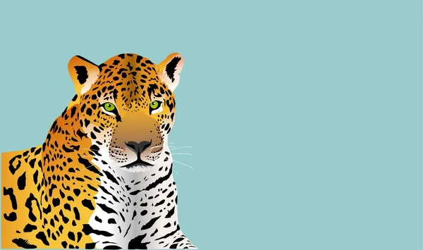 Кольоровий Леопард Лежить Буйвол Джунглі Птахи Рослини Фон Джунглів Векторні — стоковий вектор