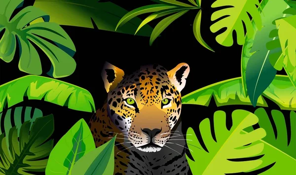 Leopard Stands Plants Frame Black Jungle Background Vector — Vetor de Stock