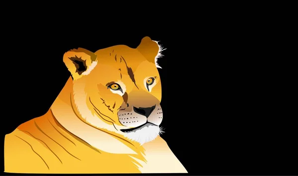 Lion Laying Black Background Vector — Wektor stockowy