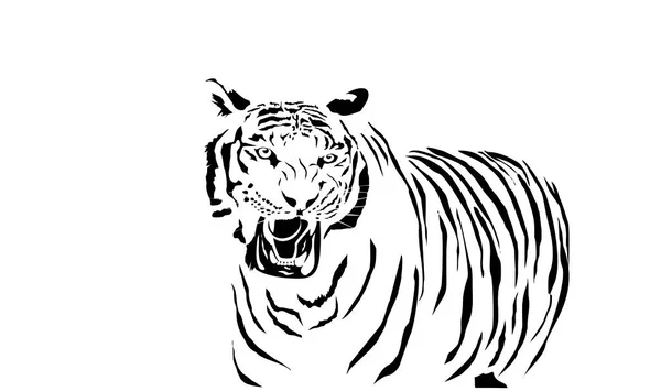 Monochrome Color Roaring Tiger Stands Isolated White Background Vector —  Vetores de Stock