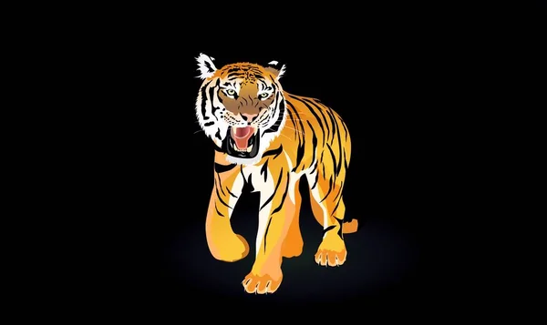 Roaring Tiger Stands Black Background Vector — Vector de stock