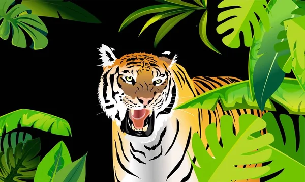 Roaring Tiger Stands Black Jungle Background Vector — Wektor stockowy