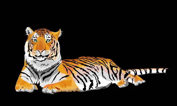 Tiger Lying Isolated Vector — Stockvektor