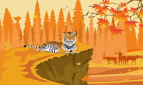 Нотх Сибирский Лес Осенних Желтых Деревьях Наземный Ландшафт Тигра Лежащий — стоковый вектор