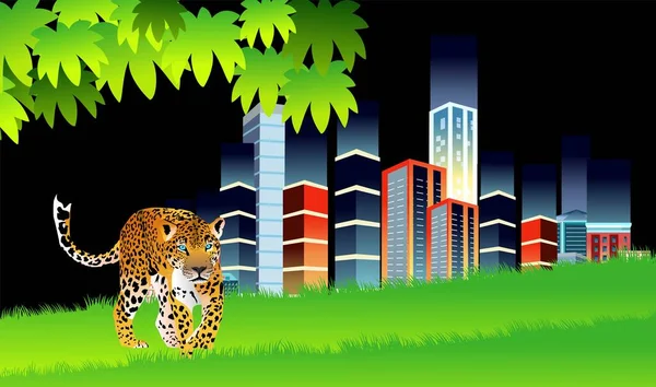 Leopard Killer Night City Walking Lying Green Grass Night City — Vettoriale Stock