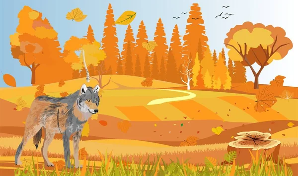 Noth Forest Autumn Yellow Trees Ground Landscape Wolf Stands Vector — Wektor stockowy